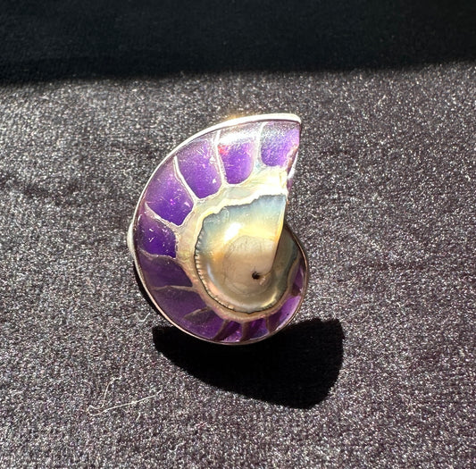 Sterling Silver Adjustable Shell Ursula Ring
