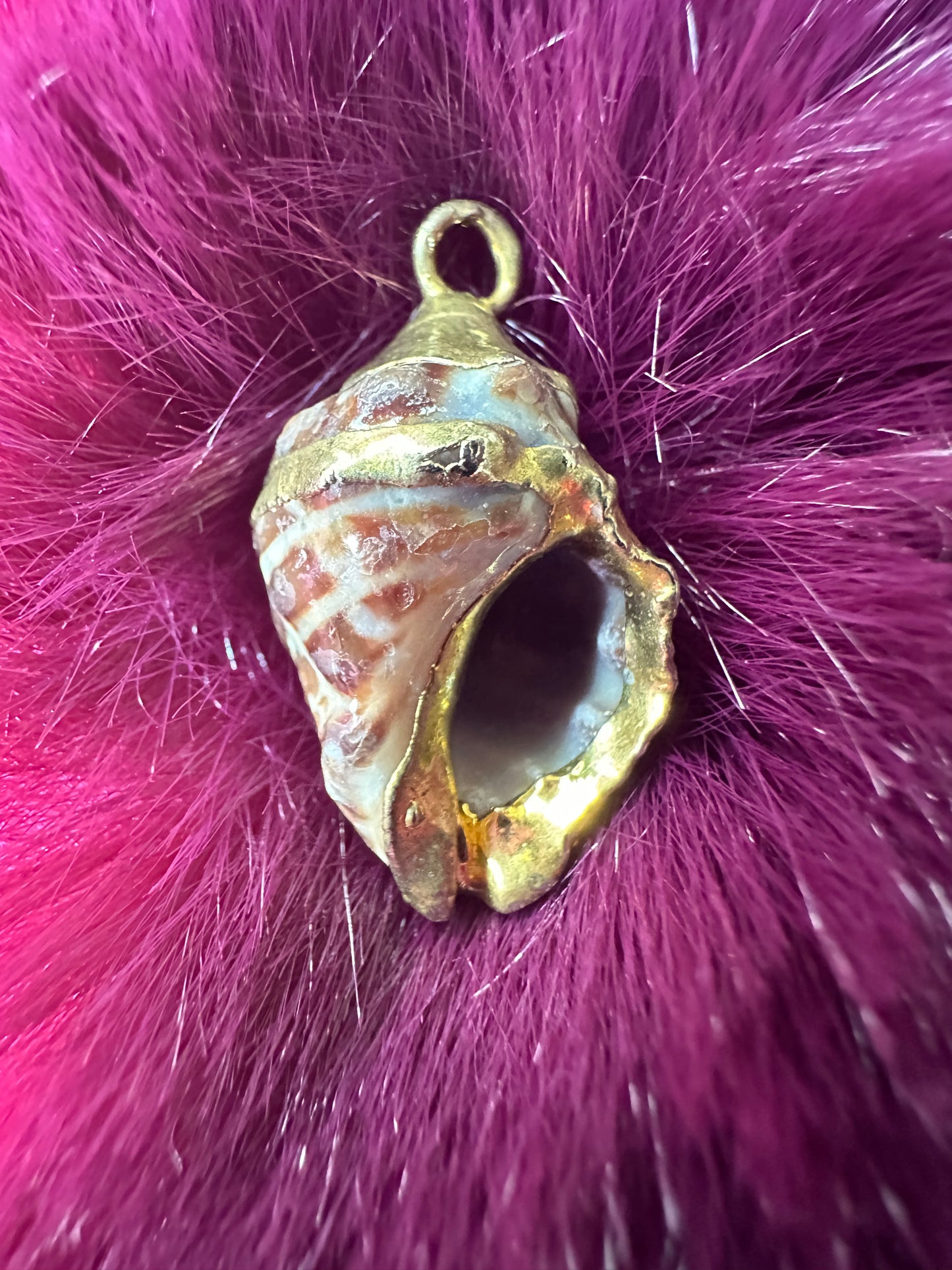 Shell Charm
