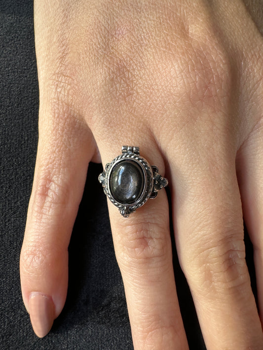 Sterling Silver Hypersthene Poison Adjustable Ring