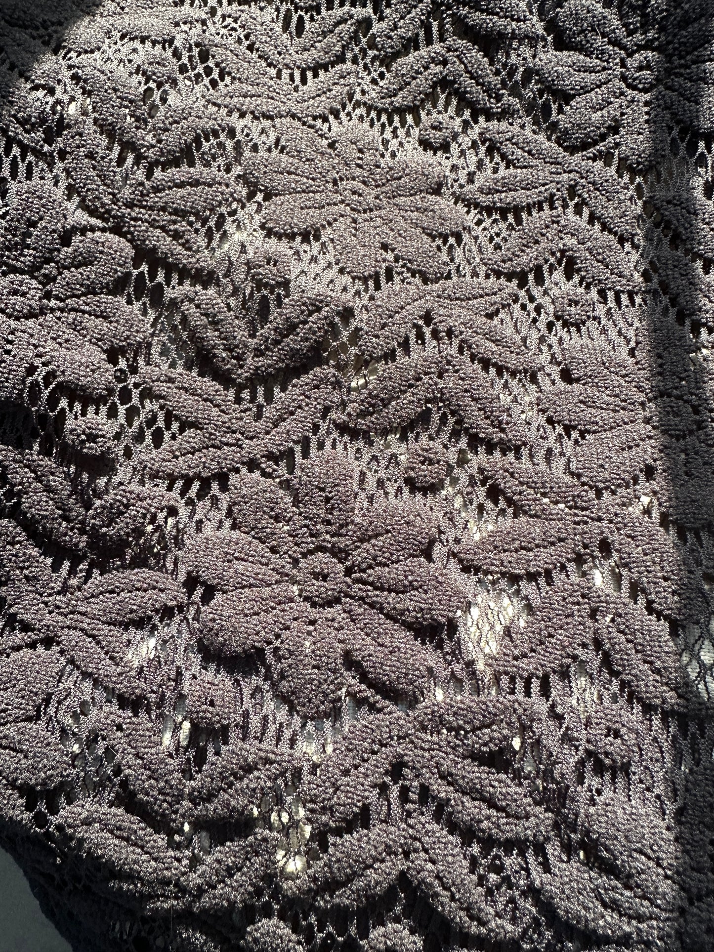 Sheer Floral Lace Top L-1X