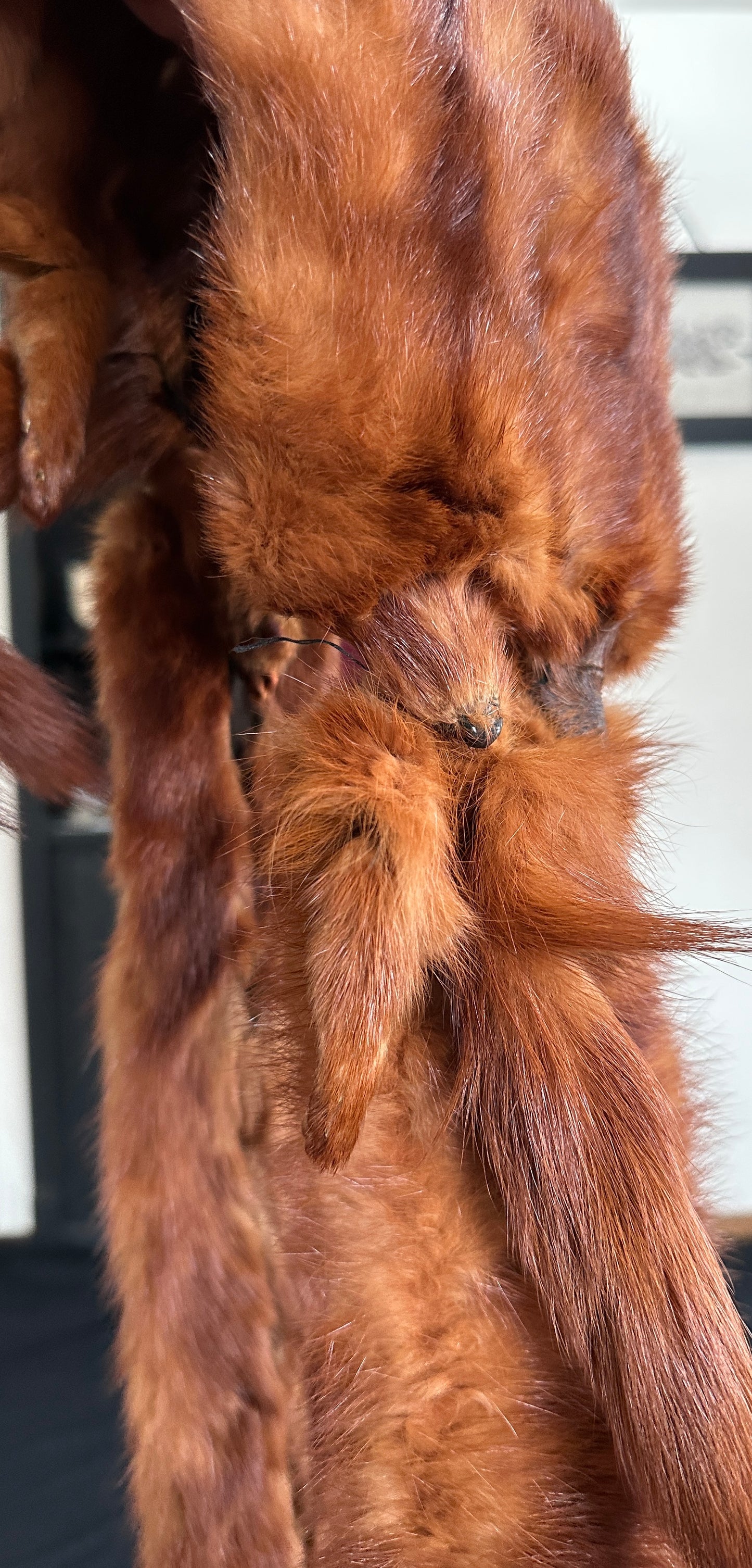 Vintage Fur Wrap Stole