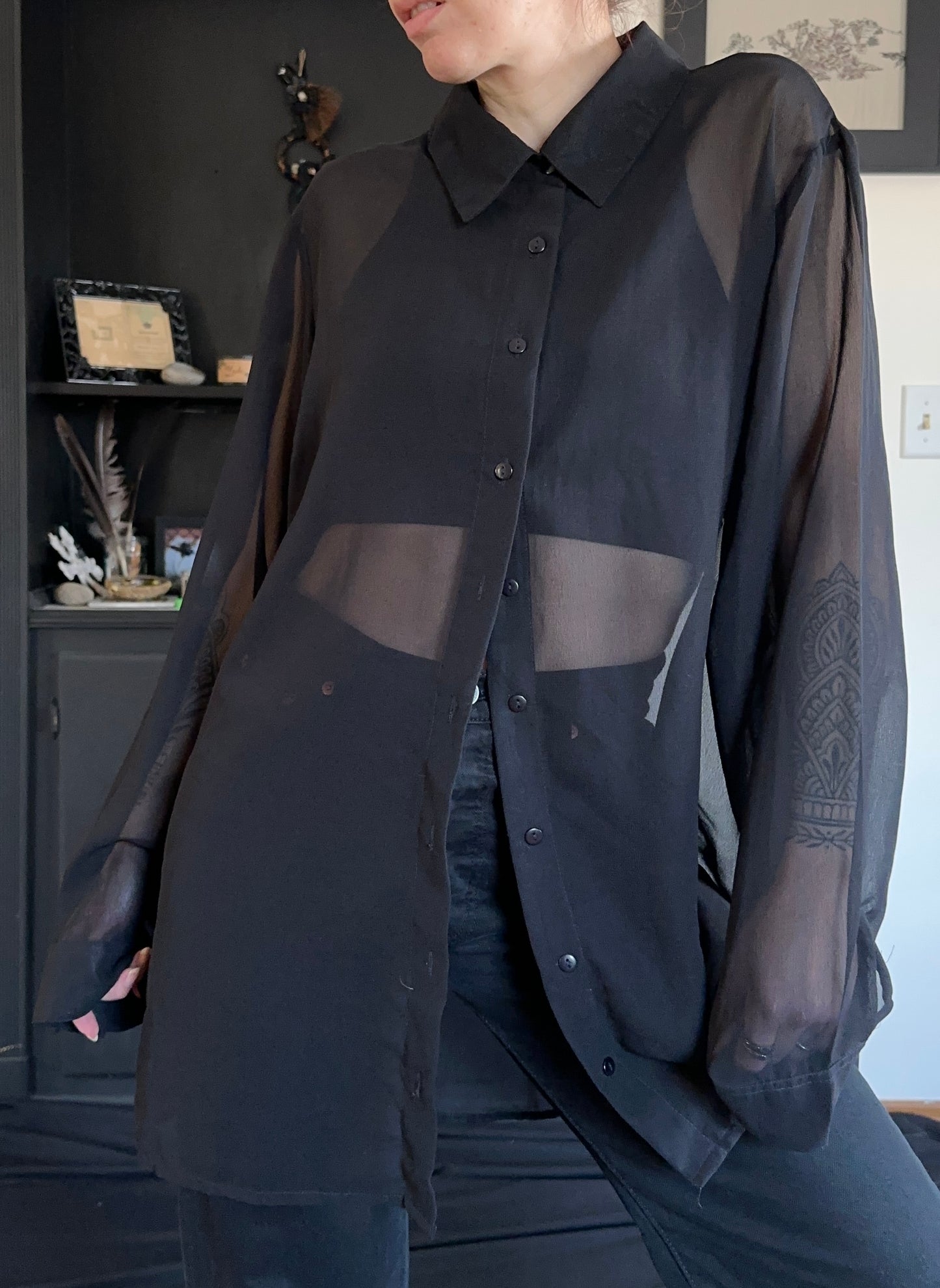 Nasty Gal Sheer Button Down Shirt XL