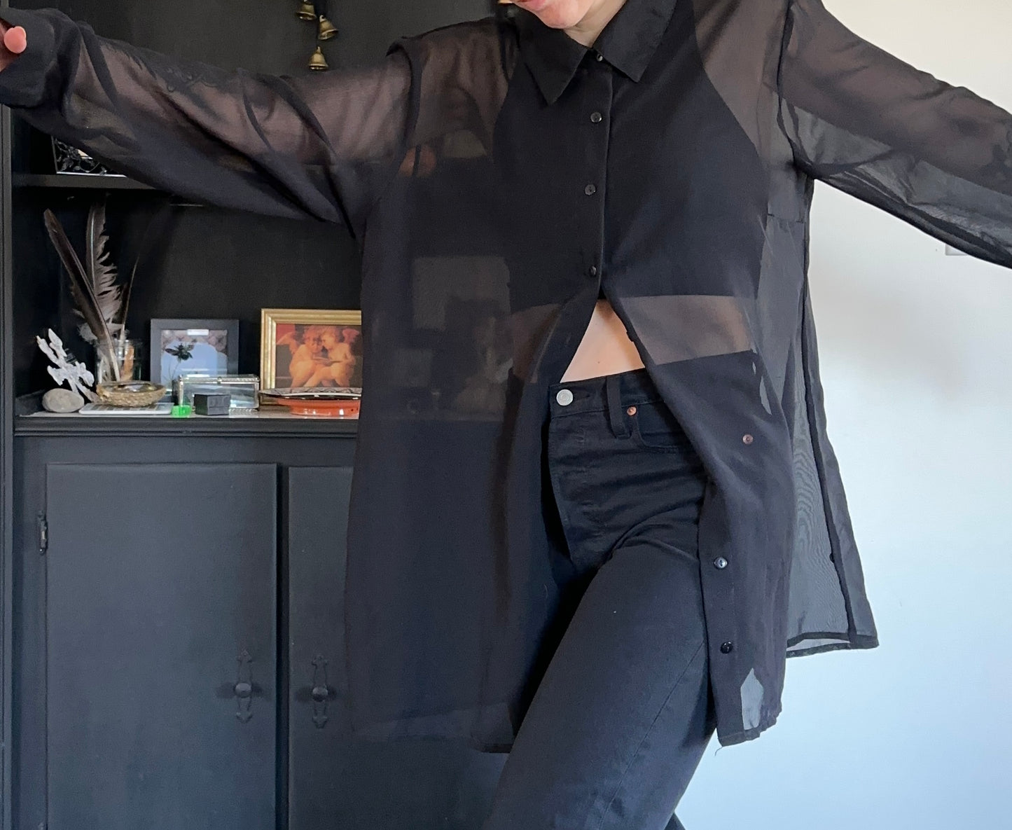 Nasty Gal Sheer Button Down Shirt XL