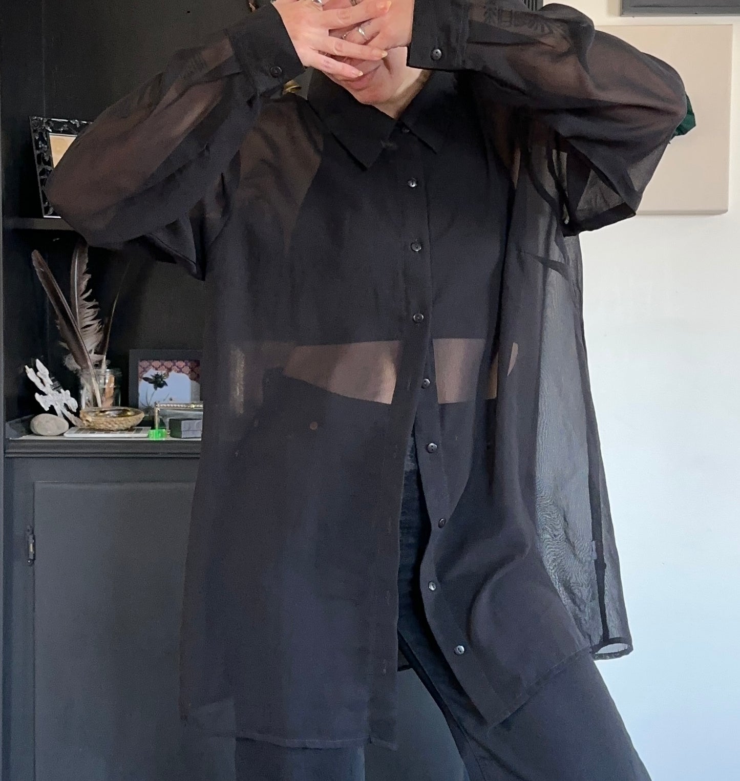 Nasty Gal Sheer Button Down Shirt XL
