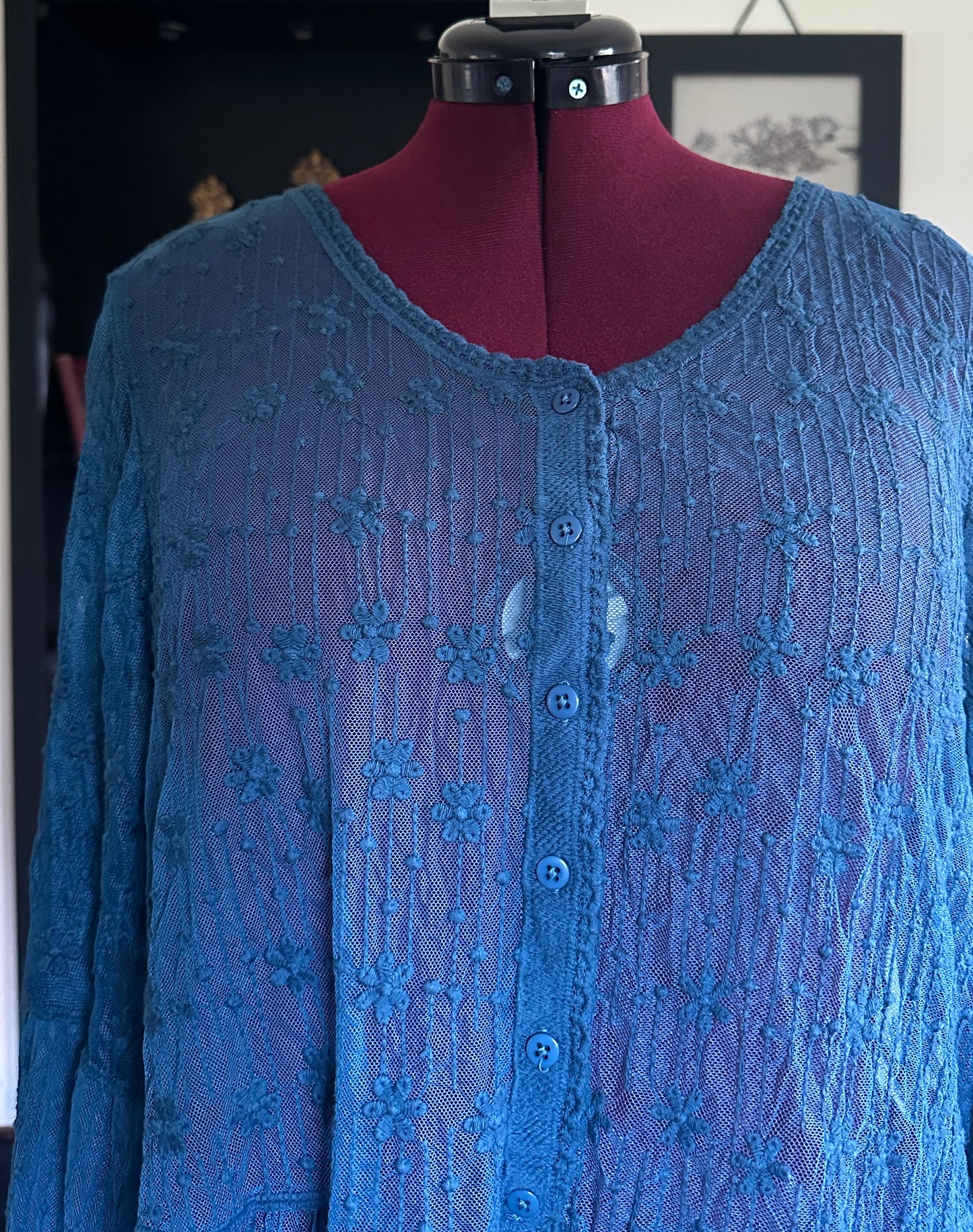 Witchy Sheer Embroidered Top 1X-2X