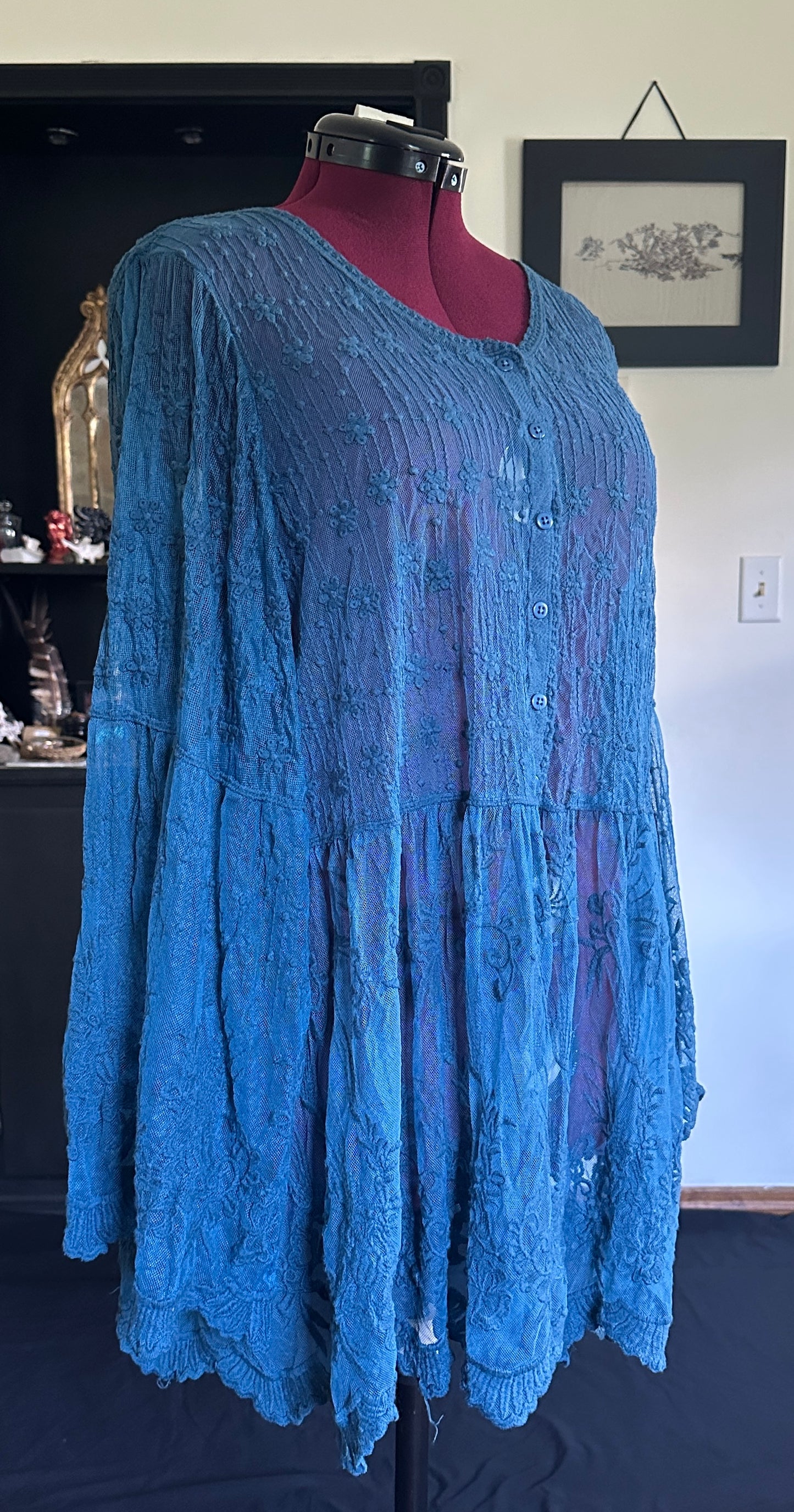 Witchy Sheer Embroidered Top 1X-2X