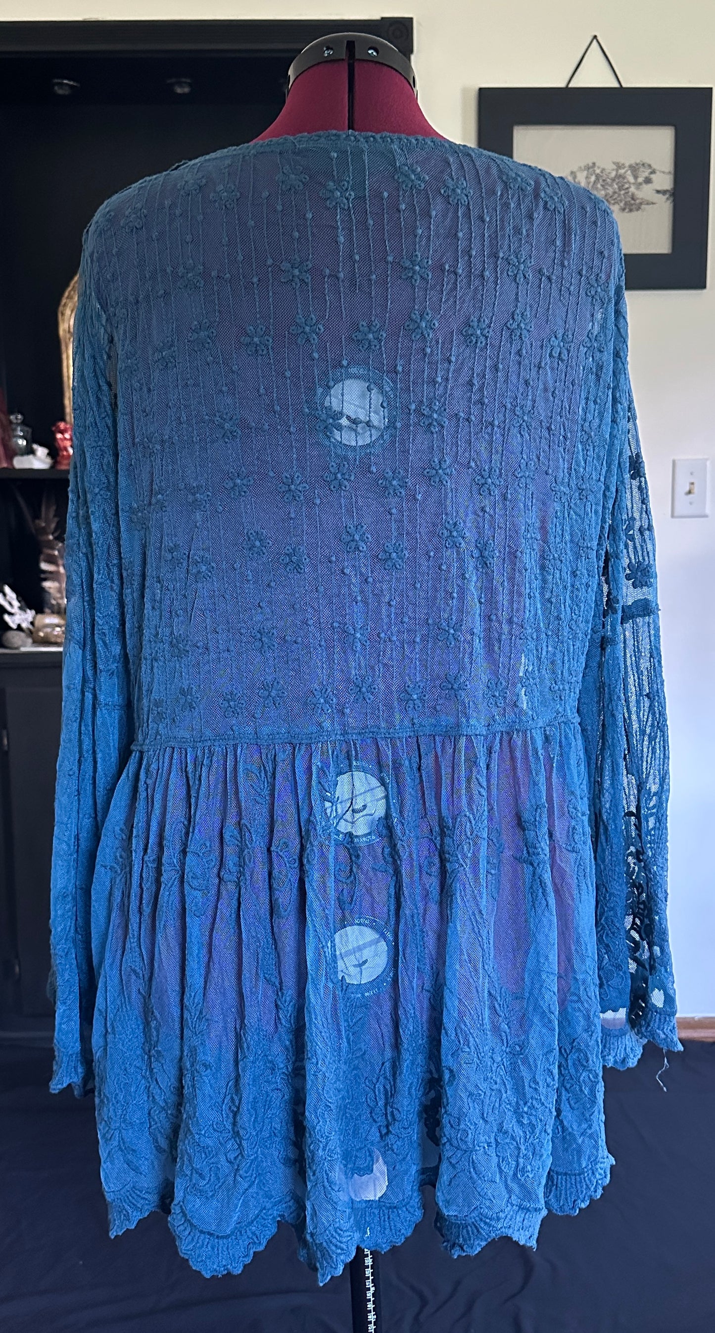 Witchy Sheer Embroidered Top 1X-2X