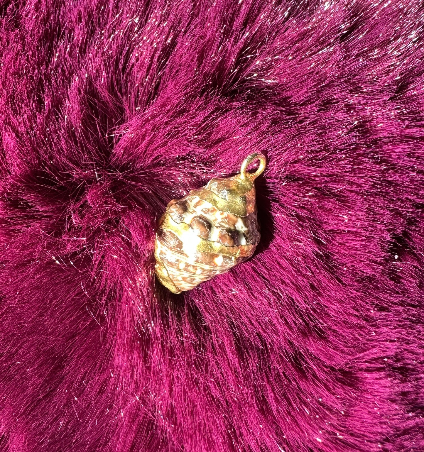 Shell Charm