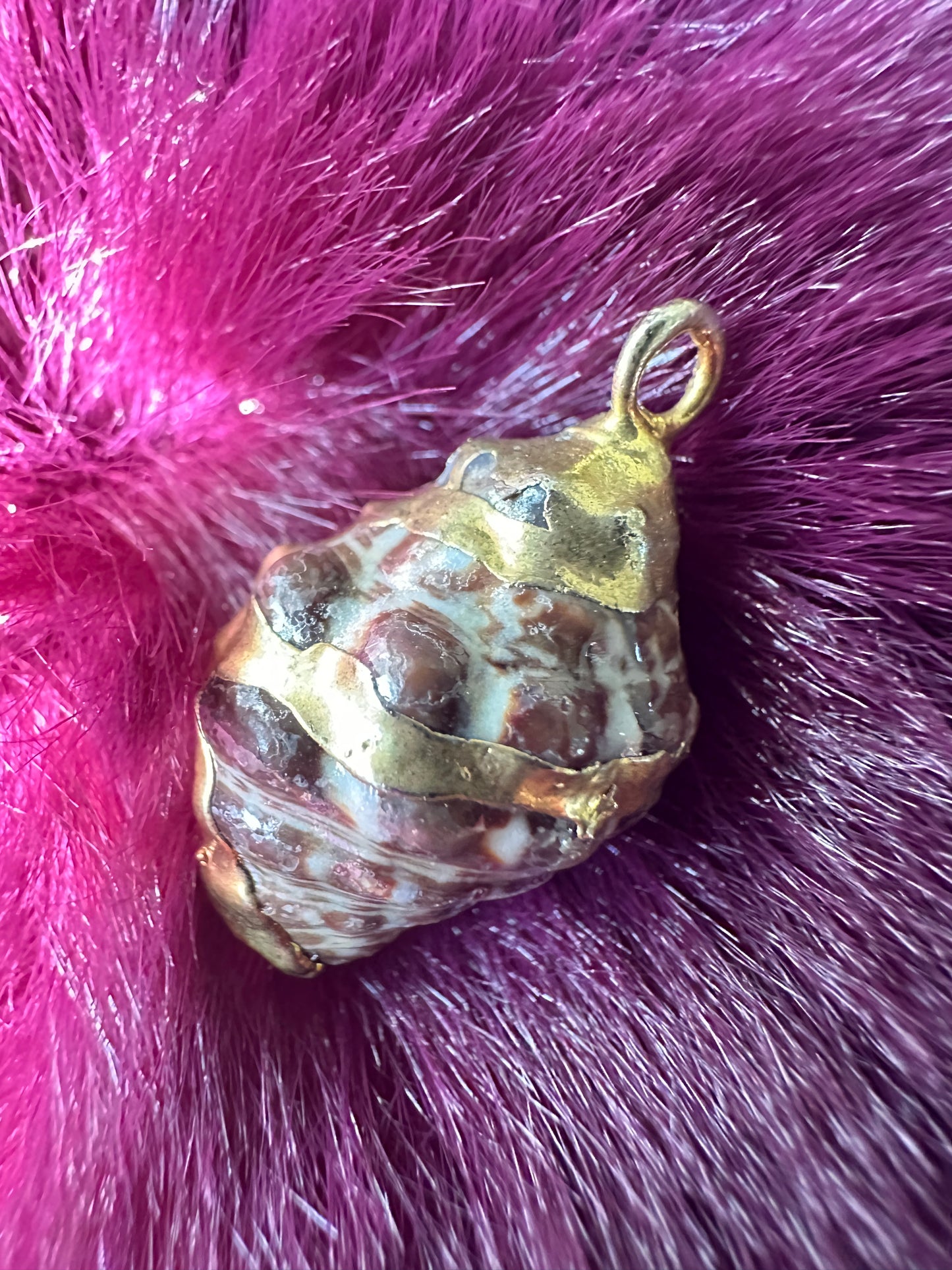 Shell Charm