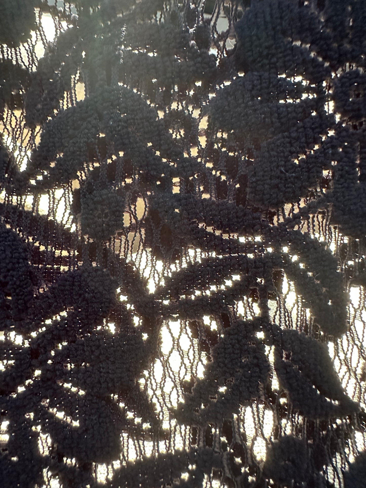 Sheer Floral Lace Top L-1X