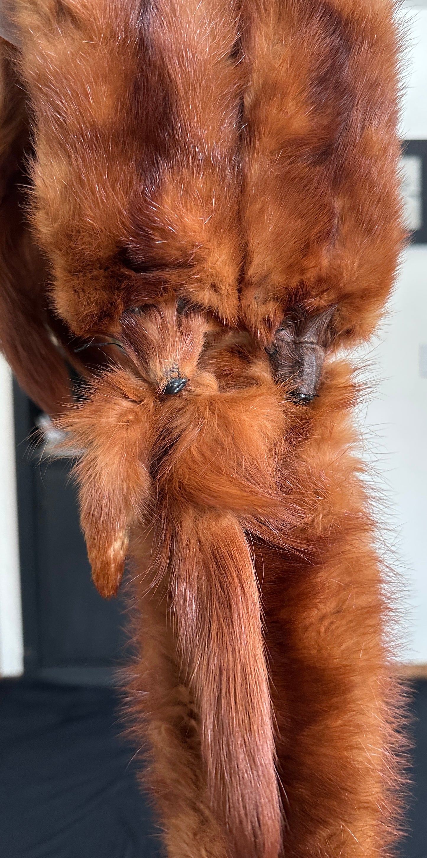 Vintage Fur Wrap Stole