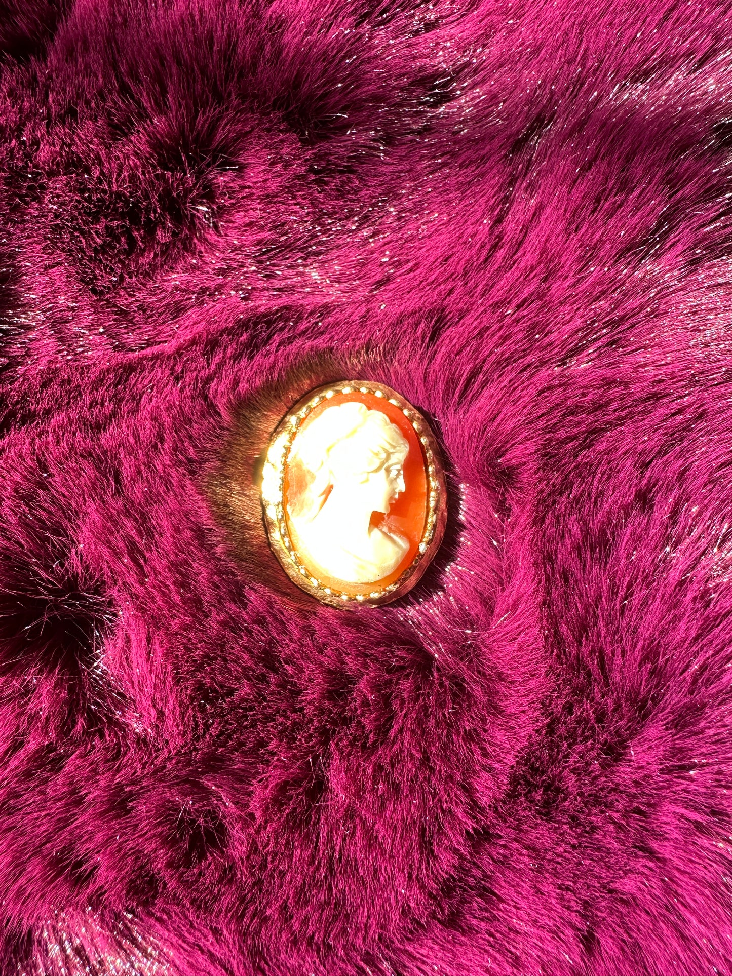 Victorian Revival Cameo Pin