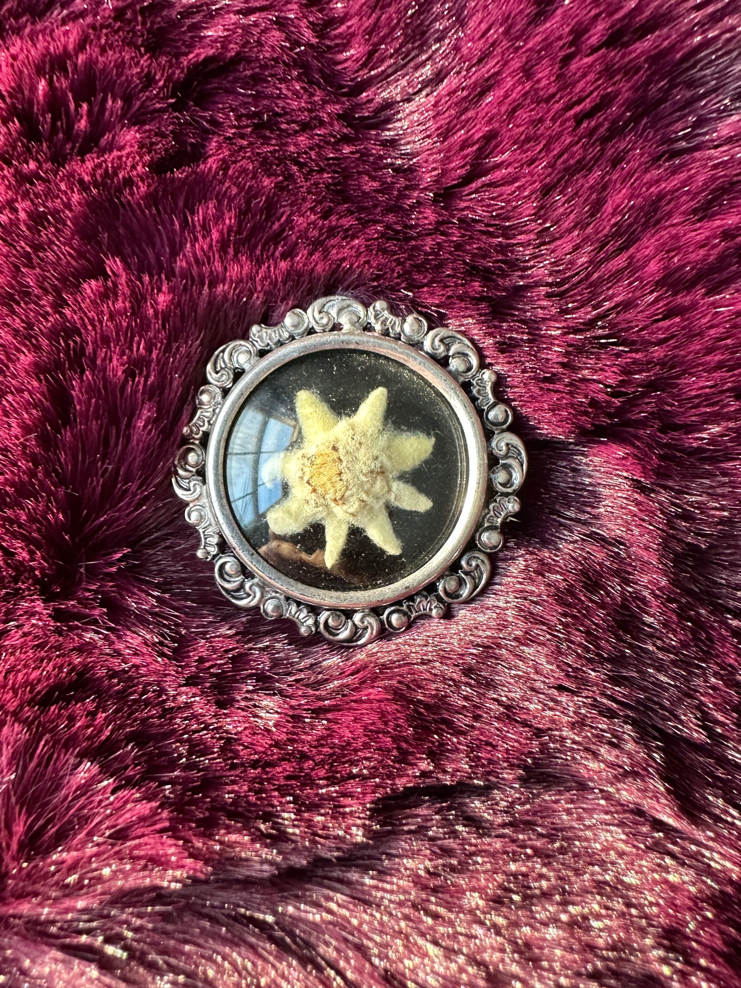 Alpine Edelweiss Pin
