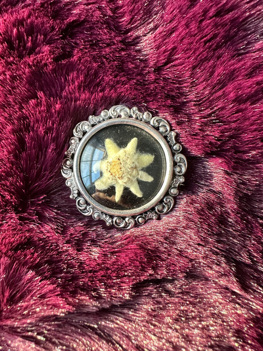 Alpine Edelweiss Pin