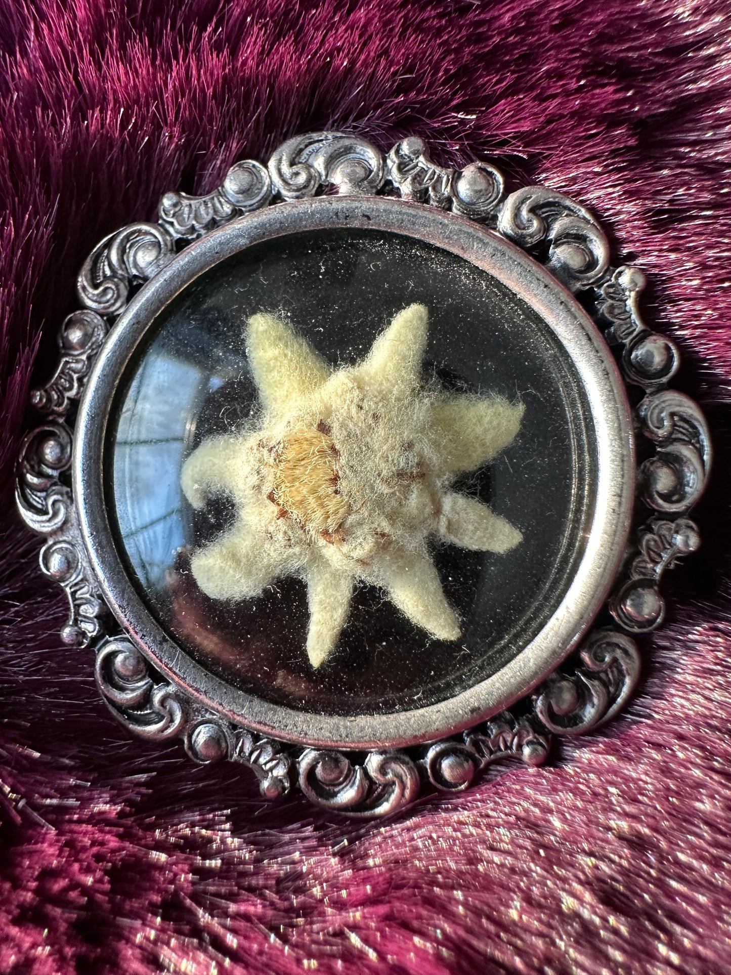 Alpine Edelweiss Pin