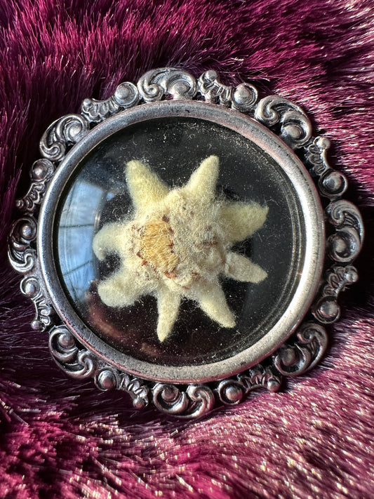 Alpine Edelweiss Pin